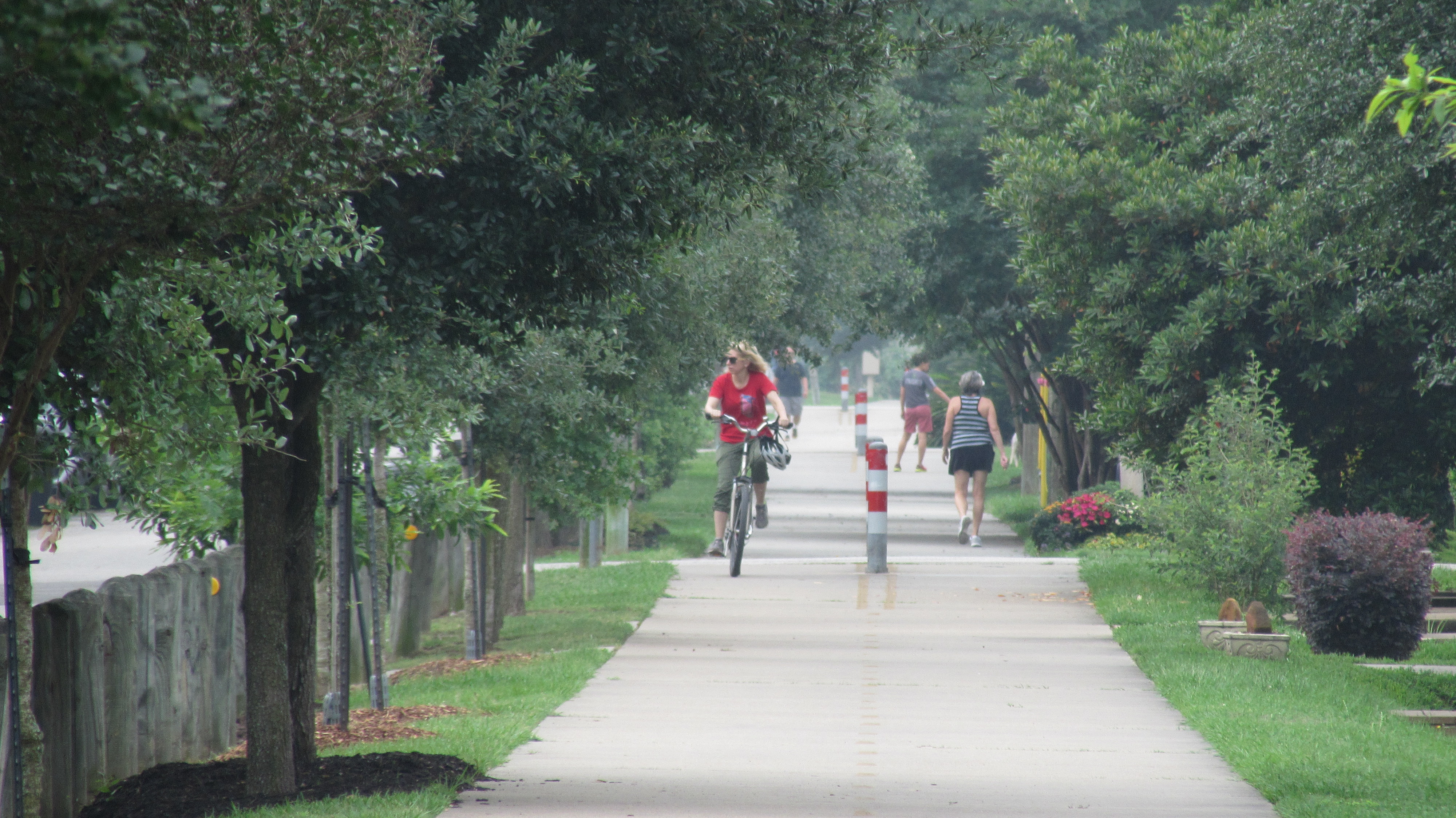 Tree-lined shared-use trail with a cyclist riding toward the camera and several pedestrians walking along a wide paved path bordered by greenery and homes.